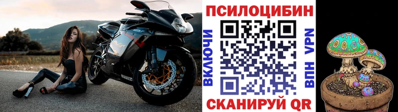 наркошоп  Тобольск  Галлюциногенные грибы MAGIC MUSHROOMS 